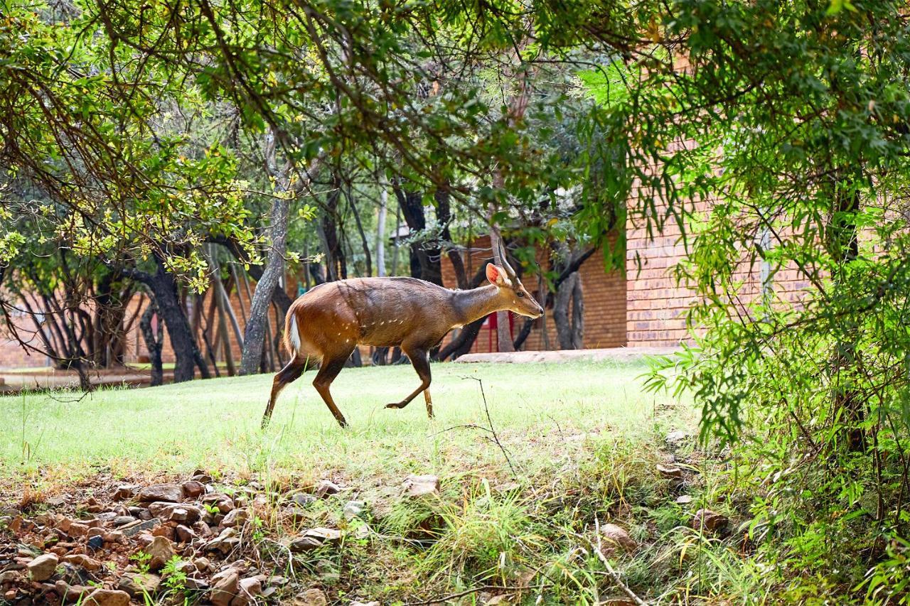 Отель First Group Magalies Park Хартбиспурт Экстерьер фото