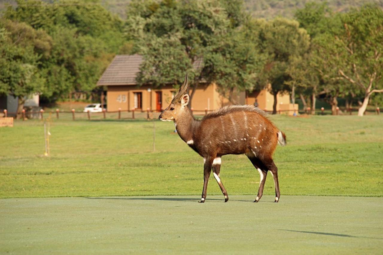 Отель First Group Magalies Park Хартбиспурт Экстерьер фото