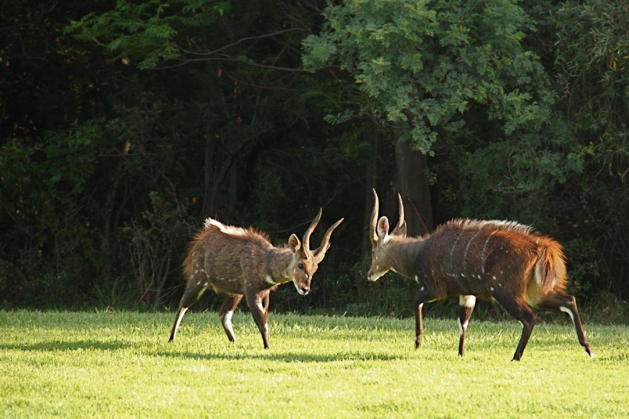 Отель First Group Magalies Park Хартбиспурт Экстерьер фото